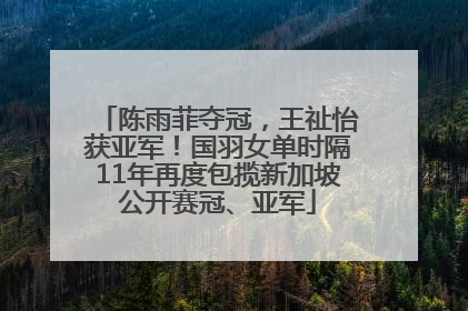 陈雨菲夺冠，王祉怡获亚军！国羽女单时隔11年再度包揽新加坡公开赛冠、亚军