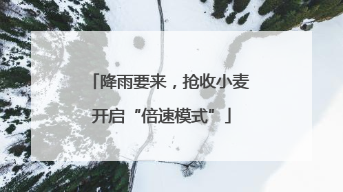 降雨要来，抢收小麦开启“倍速模式”