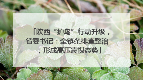 陕西“护鸟”行动升级，省委书记：全链条排查整治，形成高压震慑态势