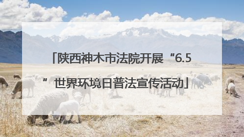 陕西神木市法院开展“6.5”世界环境日普法宣传活动