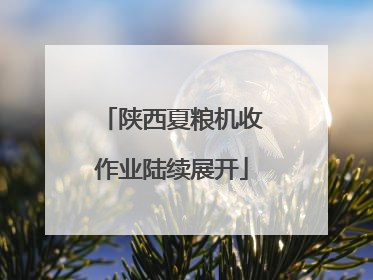 陕西夏粮机收作业陆续展开