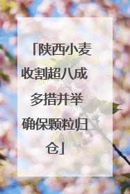 陕西小麦收割超八成 多措并举确保颗粒归仓