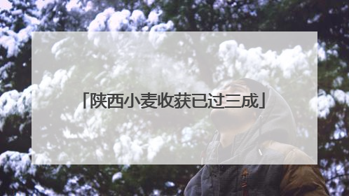 陕西小麦收获已过三成
