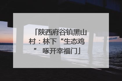陕西府谷镇黑山村：林下“生态鸡” 啄开幸福门
