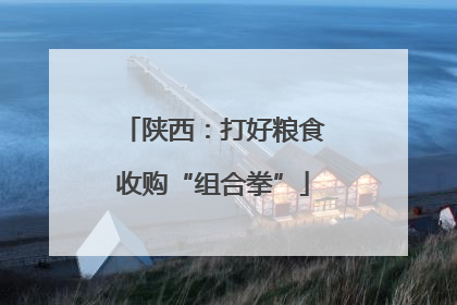 陕西：打好粮食收购“组合拳”