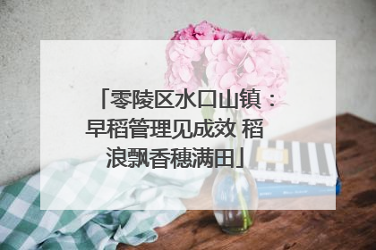 零陵区水口山镇：早稻管理见成效 稻浪飘香穗满田