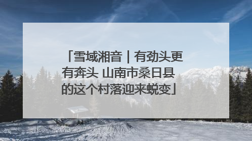 雪域湘音｜有劲头更有奔头 山南市桑日县的这个村落迎来蜕变