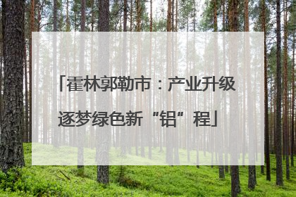 霍林郭勒市：产业升级逐梦绿色新“铝”程