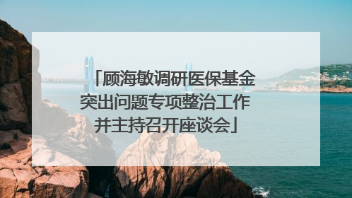 顾海敏调研医保基金突出问题专项整治工作并主持召开座谈会