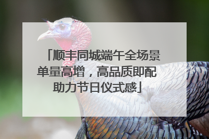 顺丰同城端午全场景单量高增，高品质即配助力节日仪式感