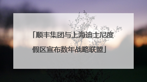 顺丰集团与上海迪士尼度假区宣布数年战略联盟