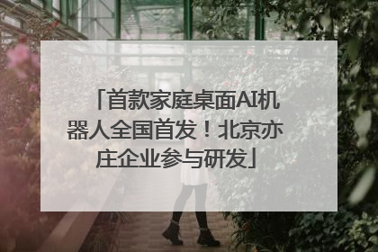 首款家庭桌面AI机器人全国首发！北京亦庄企业参与研发