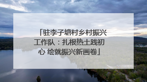 驻李子塘村乡村振兴工作队：扎根热土践初心 绘就振兴新画卷