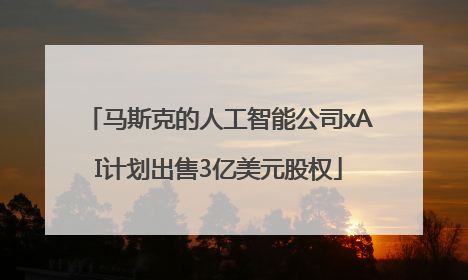 马斯克的人工智能公司xAI计划出售3亿美元股权