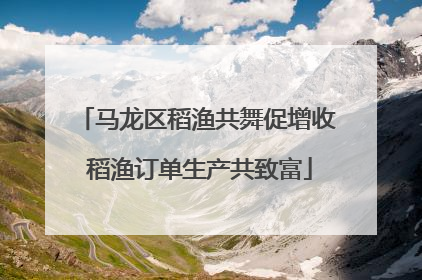 马龙区稻渔共舞促增收 稻渔订单生产共致富