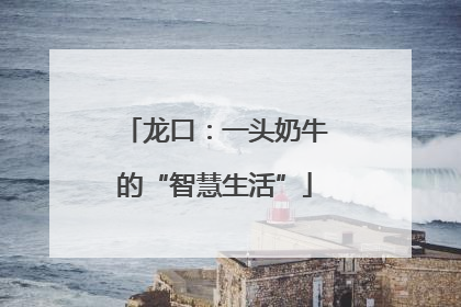 龙口：一头奶牛的“智慧生活”