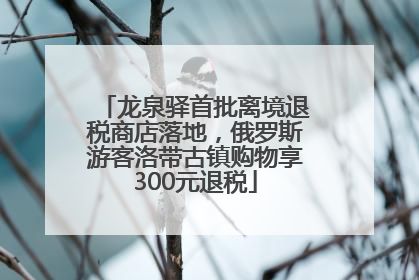 龙泉驿首批离境退税商店落地，俄罗斯游客洛带古镇购物享300元退税