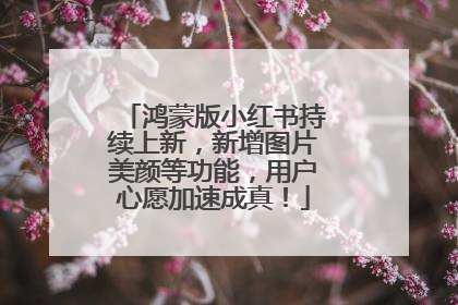 鸿蒙版小红书持续上新，新增图片美颜等功能，用户心愿加速成真！