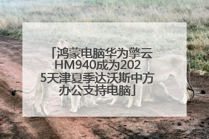鸿蒙电脑华为擎云 HM940成为2025天津夏季达沃斯中方办公支持电脑