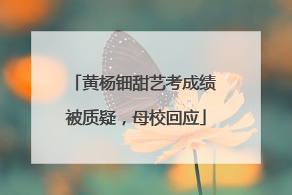 黄杨钿甜艺考成绩被质疑，母校回应
