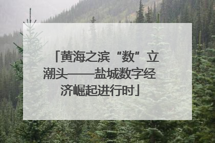 黄海之滨“数”立潮头——盐城数字经济崛起进行时