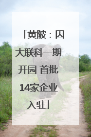 黄陂：因大联科一期开园 首批14家企业入驻