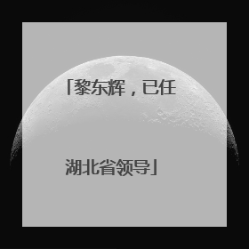 黎东辉，已任湖北省领导