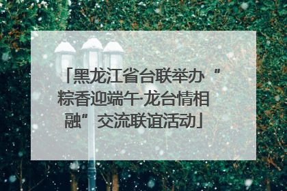 黑龙江省台联举办“粽香迎端午·龙台情相融”交流联谊活动