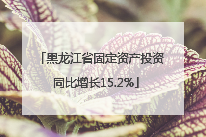 黑龙江省固定资产投资同比增长15.2%