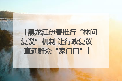 黑龙江伊春推行“林间复议”机制 让行政复议直通群众“家门口”