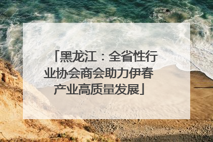 黑龙江：全省性行业协会商会助力伊春产业高质量发展