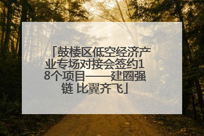 鼓楼区低空经济产业专场对接会签约18个项目——建圈强链 比翼齐飞