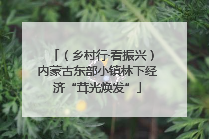 （乡村行·看振兴）内蒙古东部小镇林下经济“茸光焕发”