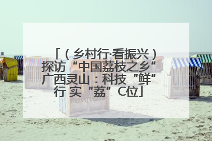 （乡村行·看振兴）探访“中国荔枝之乡”广西灵山：科技“鲜”行 实“荔”C位