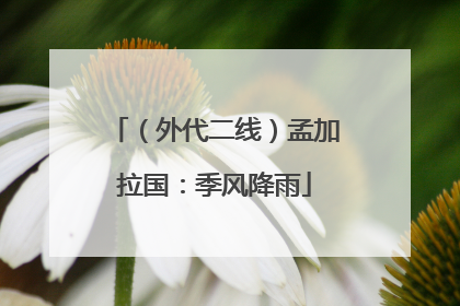 （外代二线）孟加拉国：季风降雨