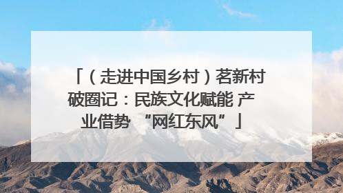 （走进中国乡村）茗新村破圈记：民族文化赋能 产业借势 “网红东风”