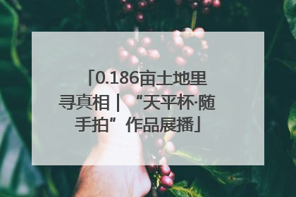 0.186亩土地里寻真相｜“天平杯·随手拍”作品展播