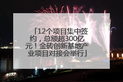 12个项目集中签约，总额超300亿元！金砖创新基地产业项目对接会举行