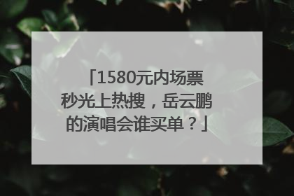 1580元内场票秒光上热搜，岳云鹏的演唱会谁买单？