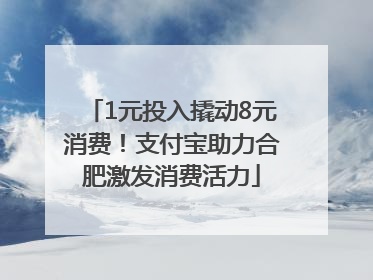 1元投入撬动8元消费！支付宝助力合肥激发消费活力