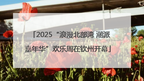 2025“浪漫北部湾 潮派嘉年华”欢乐周在钦州开幕