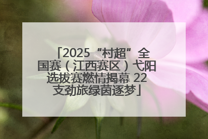 2025“村超”全国赛（江西赛区）弋阳选拔赛燃情揭幕 22支劲旅绿茵逐梦