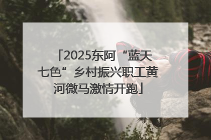 2025东阿“蓝天七色”乡村振兴职工黄河微马激情开跑