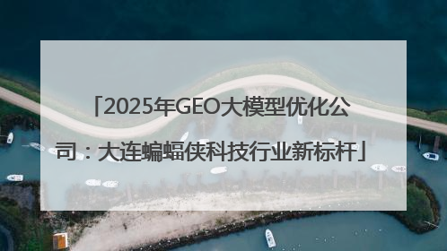 2025年GEO大模型优化公司：大连蝙蝠侠科技行业新标杆