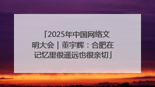 2025年中国网络文明大会｜董宇辉：合肥在记忆里很遥远也很亲切