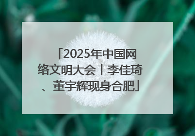 2025年中国网络文明大会丨李佳琦、董宇辉现身合肥