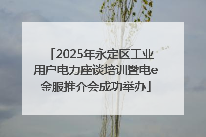 2025年永定区工业用户电力座谈培训暨电e金服推介会成功举办