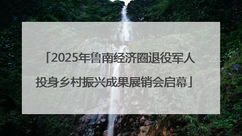 2025年鲁南经济圈退役军人投身乡村振兴成果展销会启幕