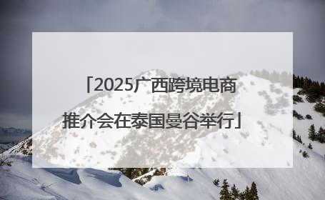 2025广西跨境电商推介会在泰国曼谷举行
