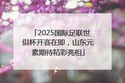 2025国际足联世俱杯开赛在即，山东元素期待精彩亮相